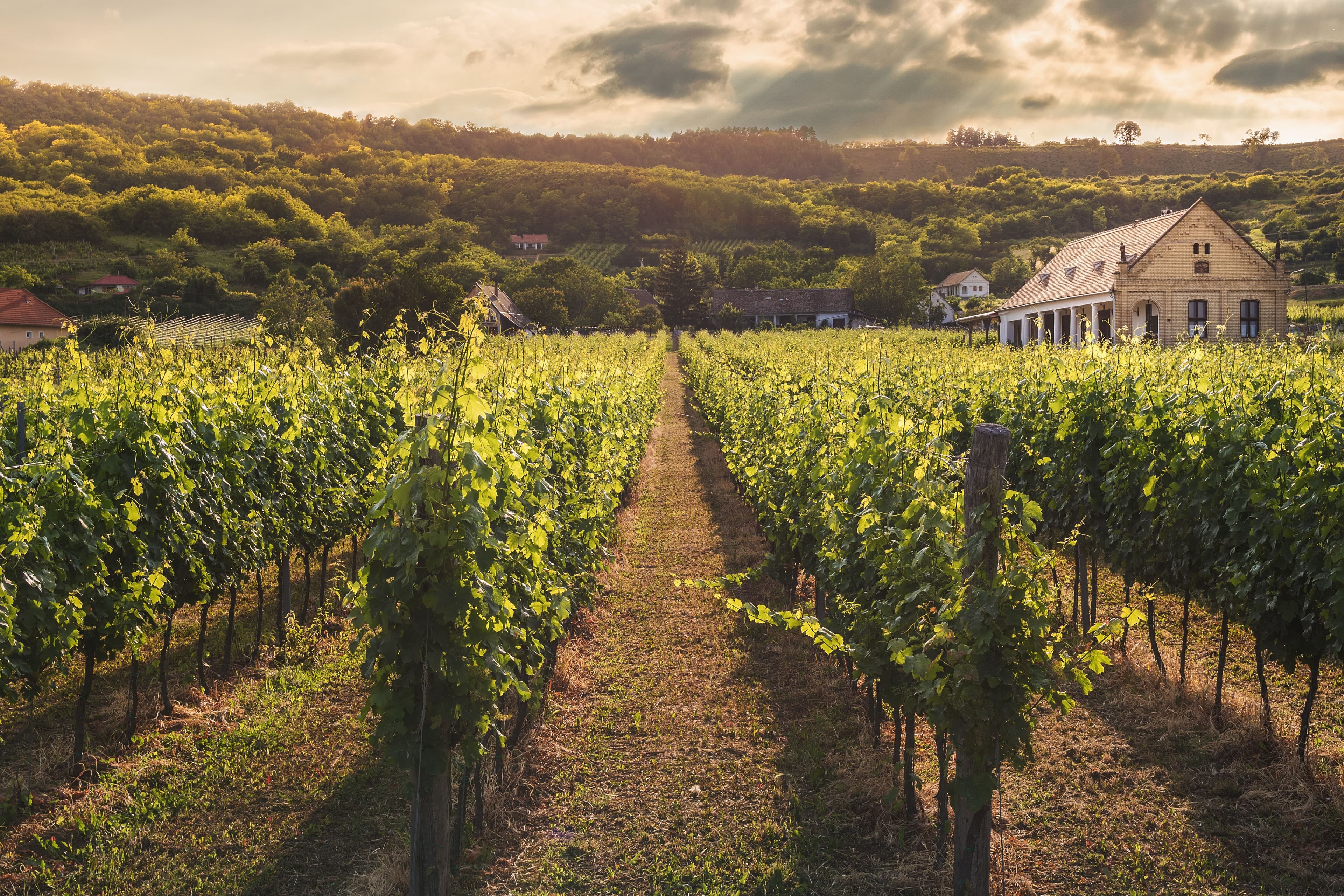 Hunter Valley