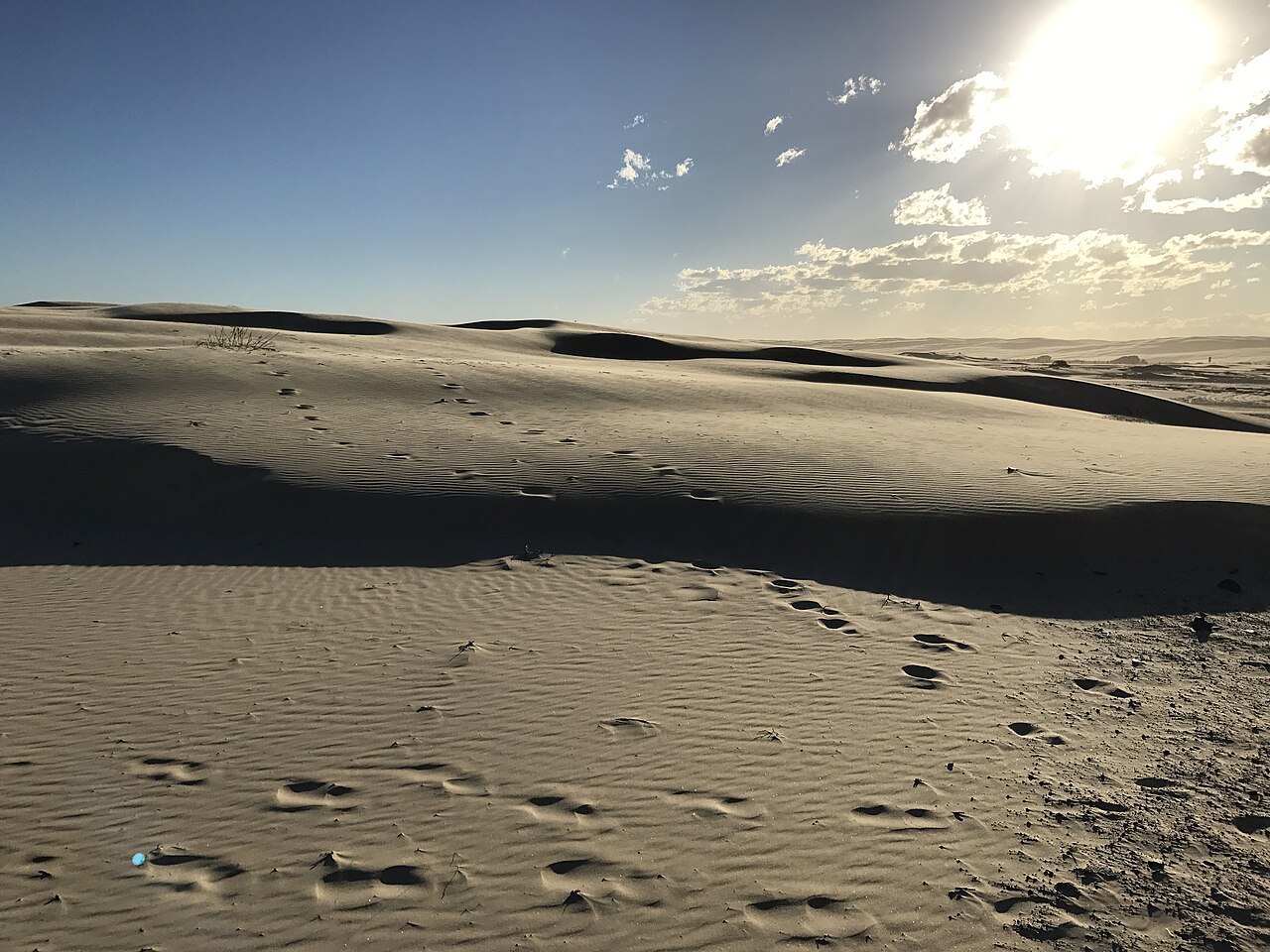 Port Stephens