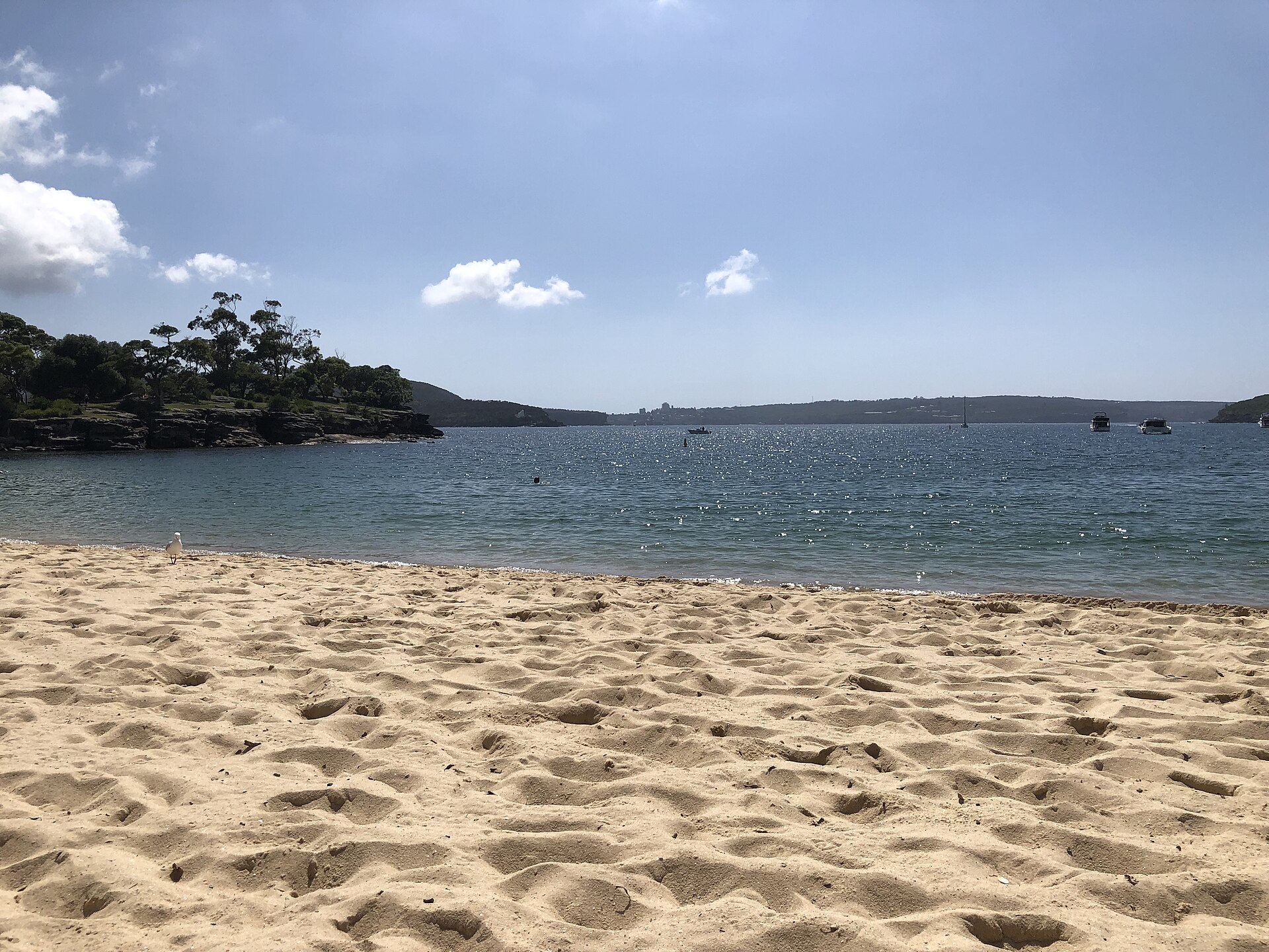 Central Coast