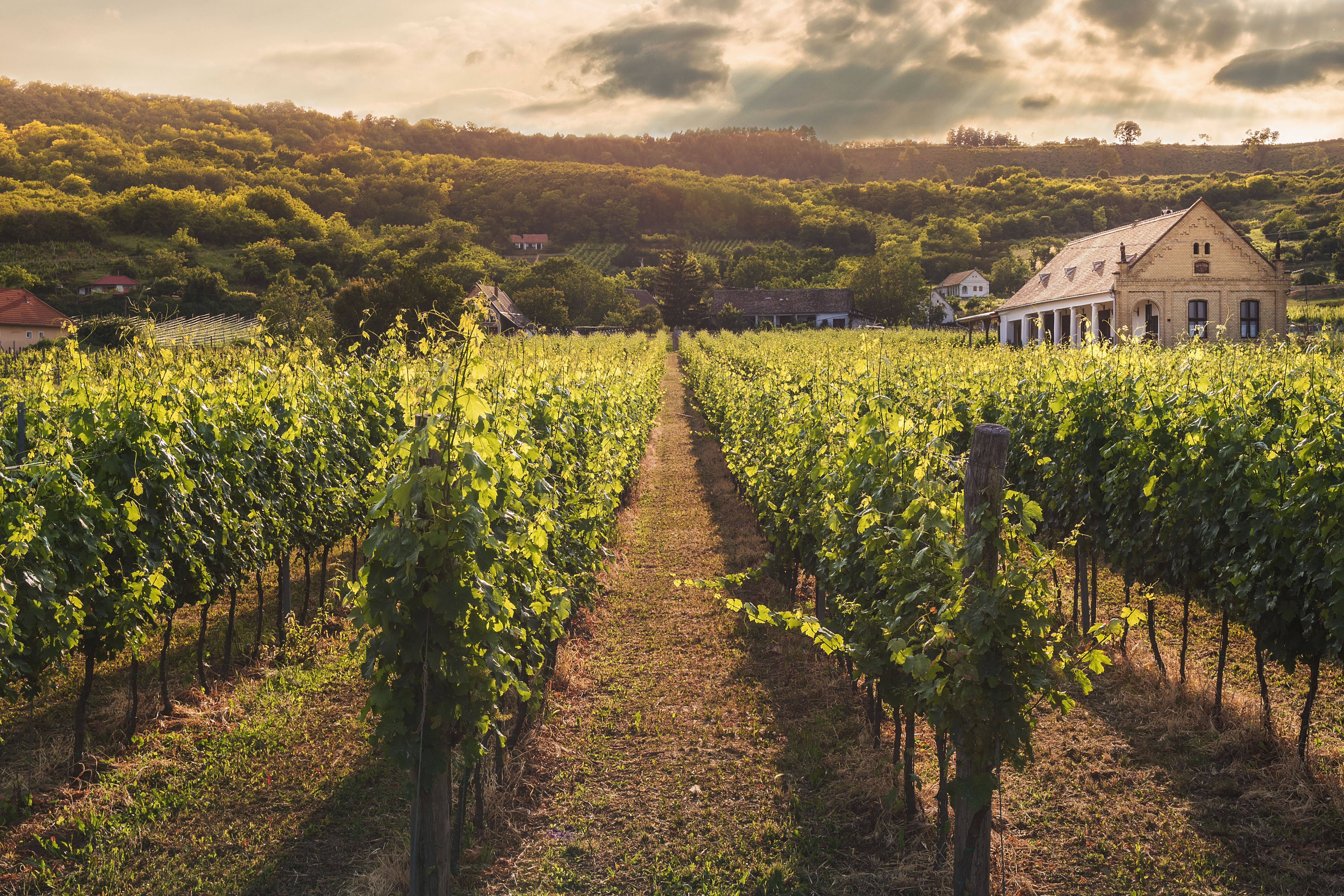 Hunter Valley